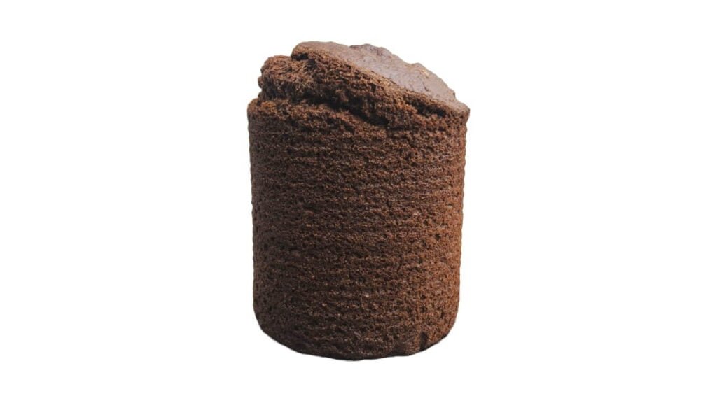 Boston Brown Bread