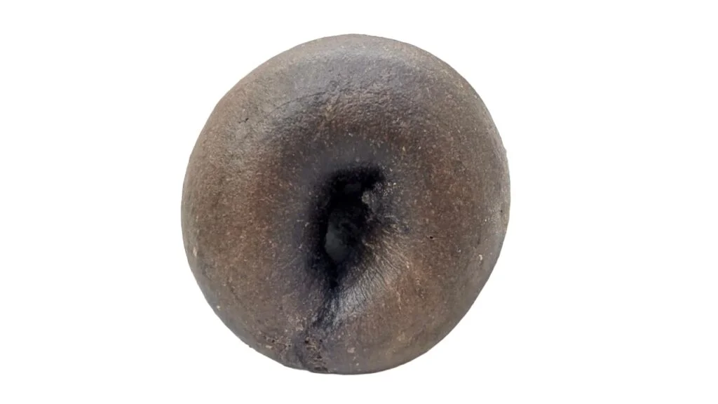 Pumpernickel Bagel