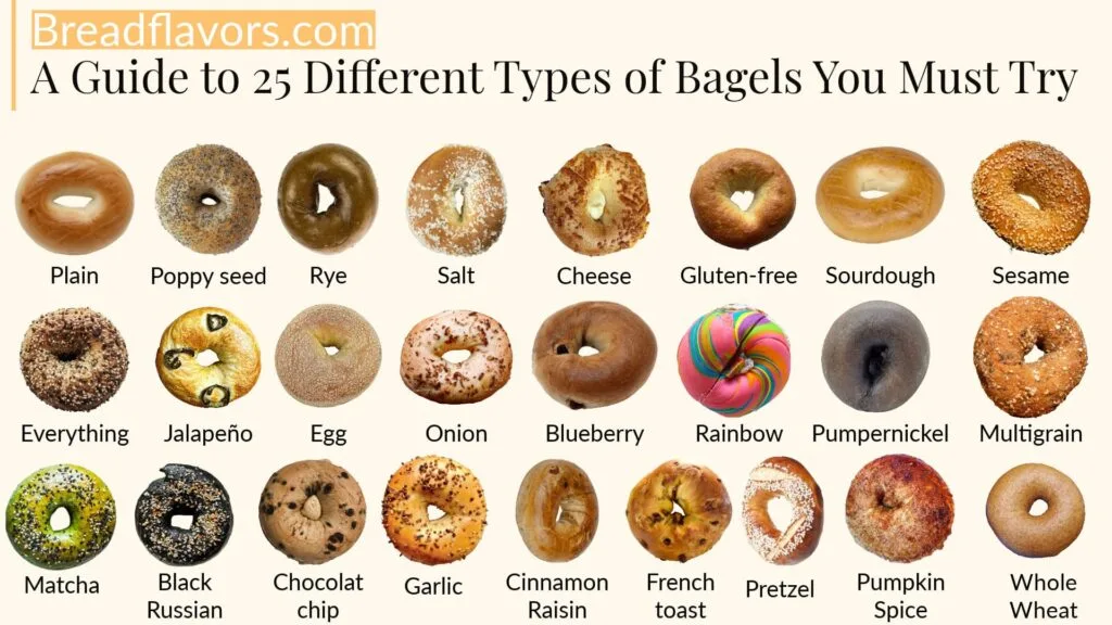 A Guide to 25 Different Types of Bagels You Must Try