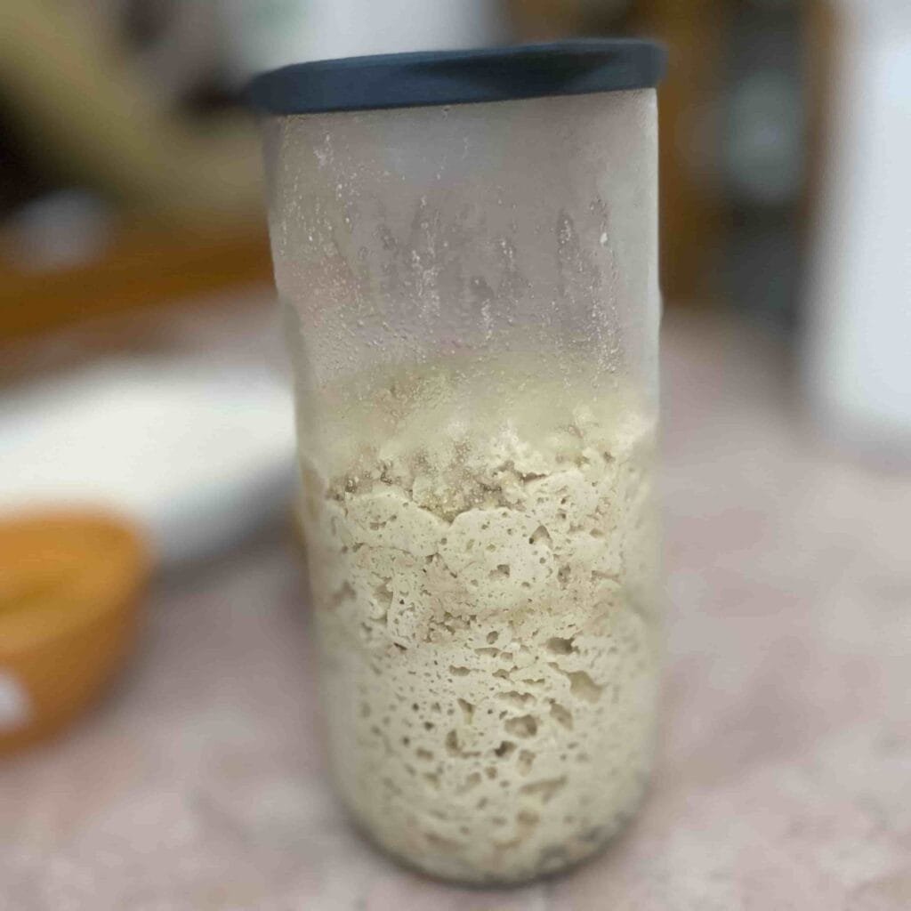 Biga After fermentation