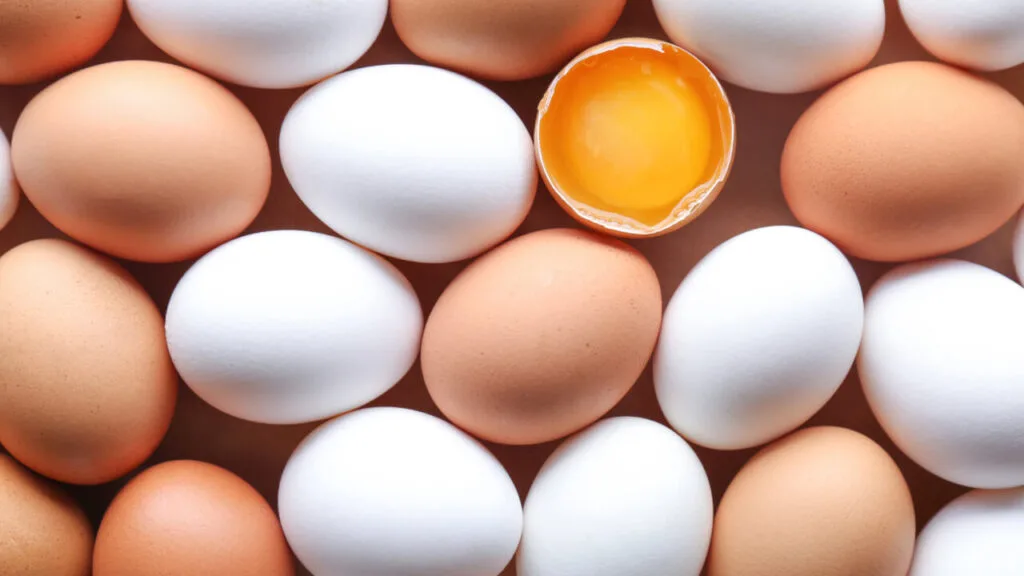 eggs