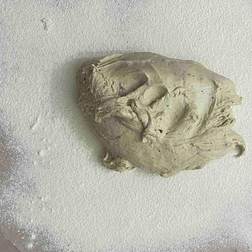 The dough after the kneading process