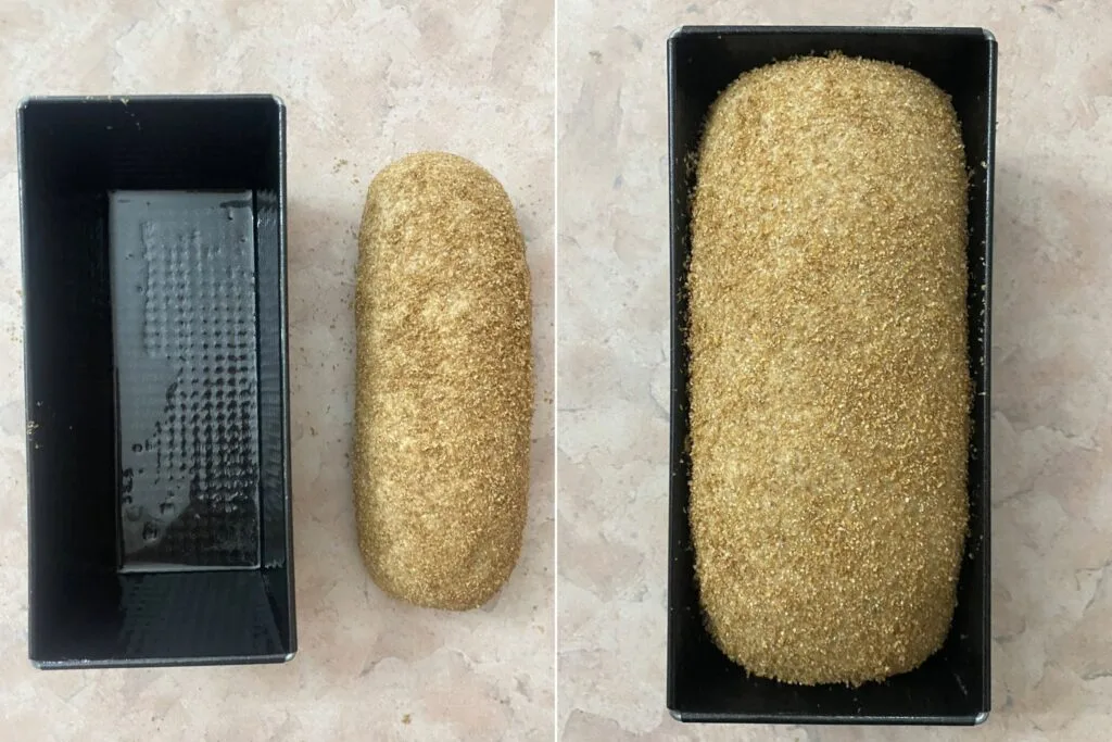 Bran bread before and after 2nd rise