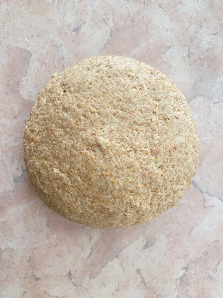 bran bread dough after the 1st rise time