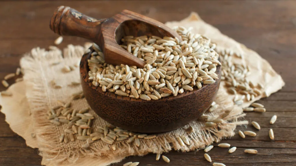 Rye grain before milled