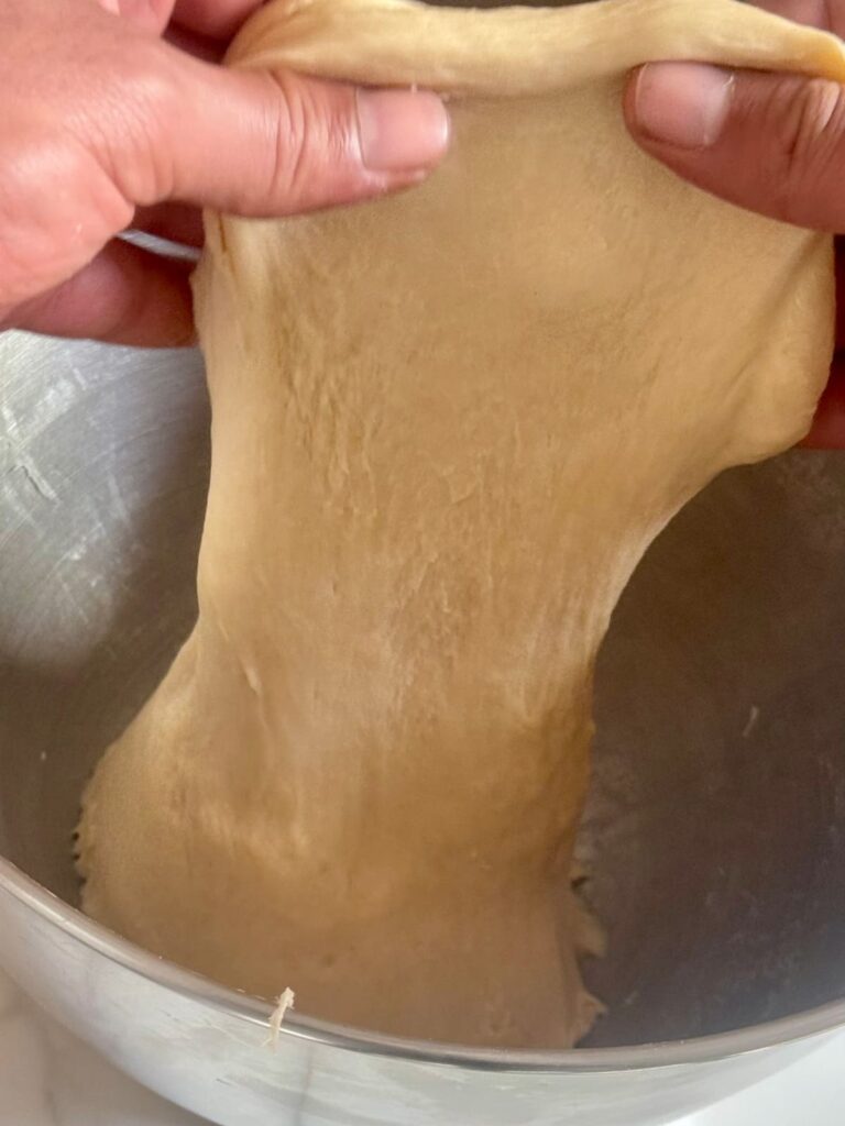 Parker House roll dough after the kneading process.